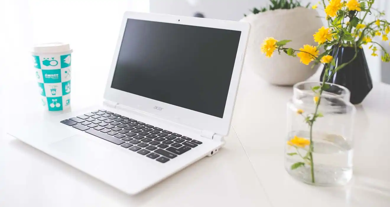 Ремонт ноутбуков Acer в Софрино
