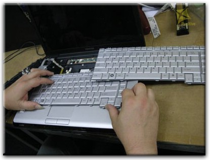 Ремонт клавиатуры на ноутбуке Toshiba в Софрино