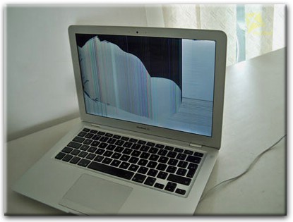 Замена матрицы Apple MacBook в Софрино